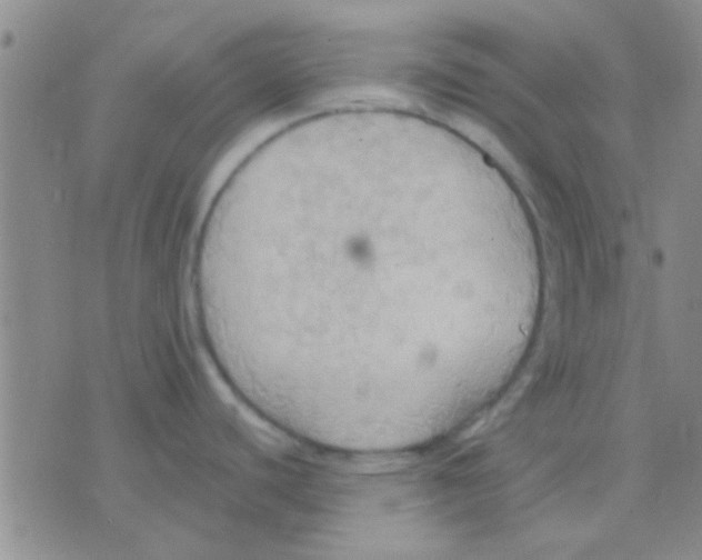 X0000075891440200610151740