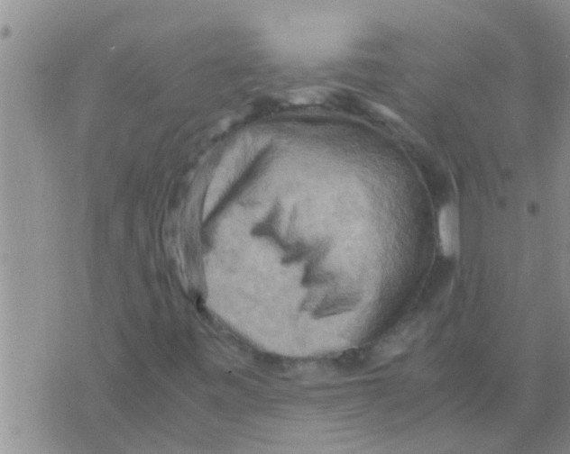 X0000075891443200610151739