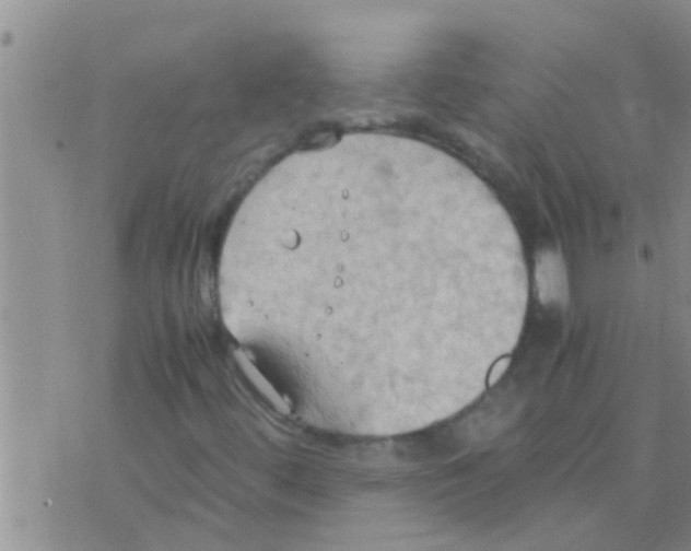 X0000075891444200610151739