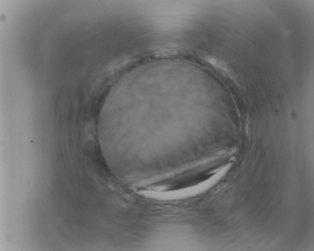 X0000075891445200610151739