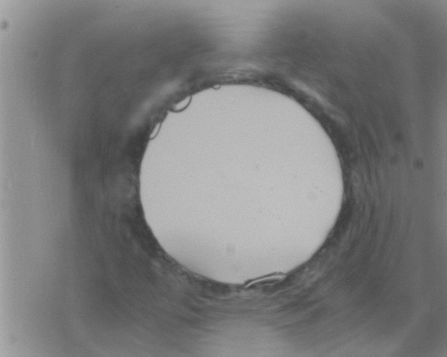 X0000075891447200610151739