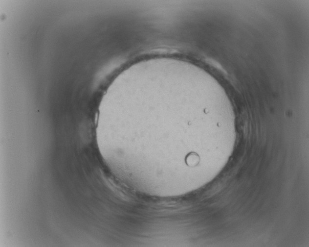 X0000075891448200610151739