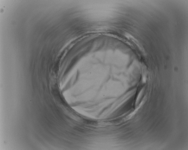 X0000075891449200610151739