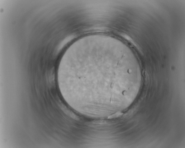 X0000075891450200610151739