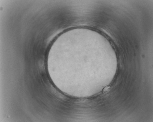 X0000075891452200610151739