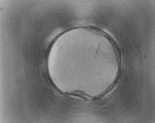 X0000075891453200610151739