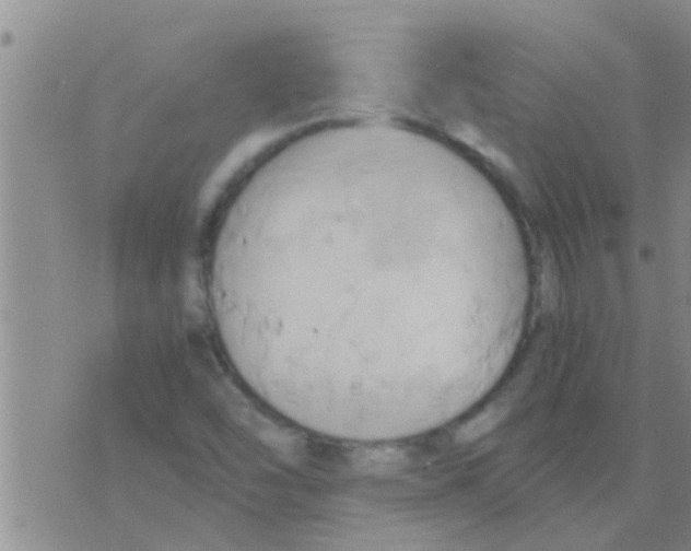 X0000075891454200610151739