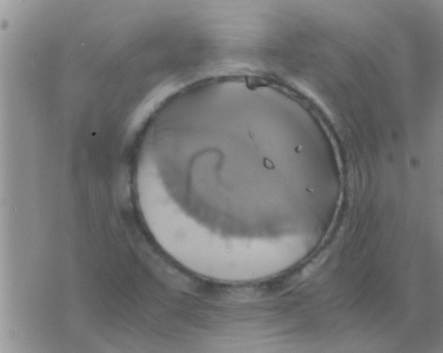 X0000075891455200610151739