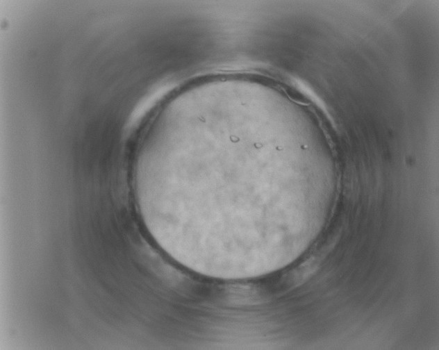 X0000075891456200610151739