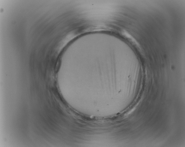 X0000075891457200610151739