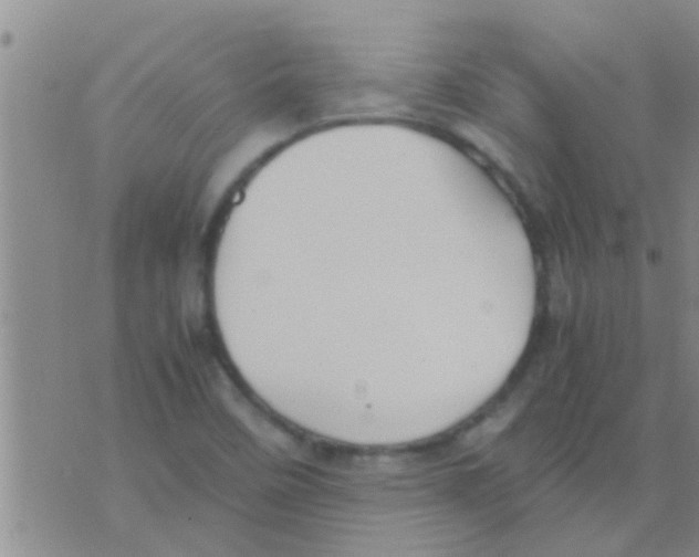 X0000075891458200610151739