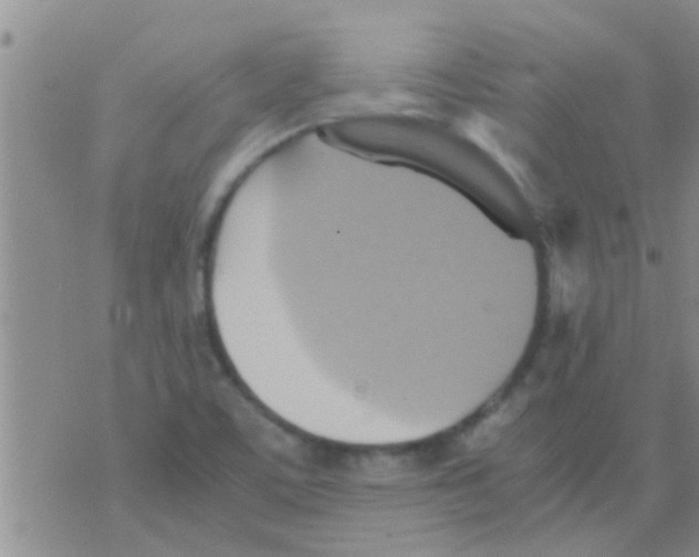 X0000075891459200610151739