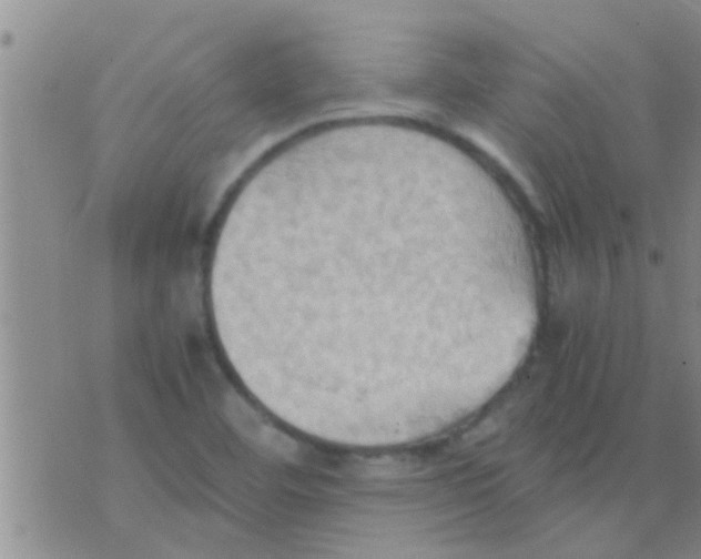 X0000075891460200610151739