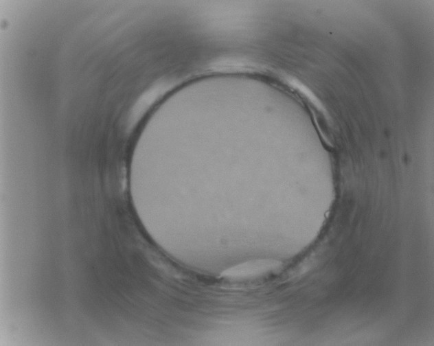 X0000075891461200610151739