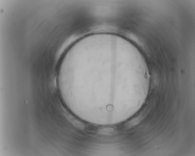 X0000075891462200610151739