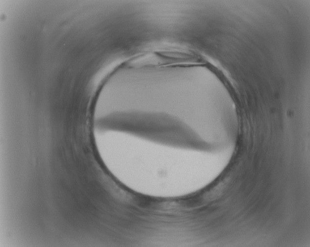 X0000075891463200610151739