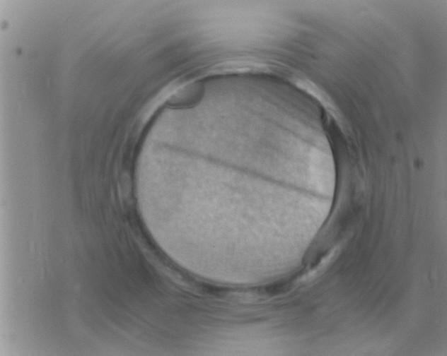 X0000075891465200610151739