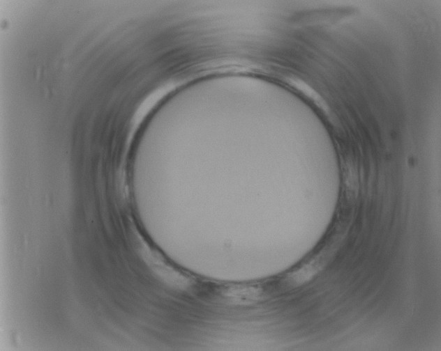 X0000075891466200610151739