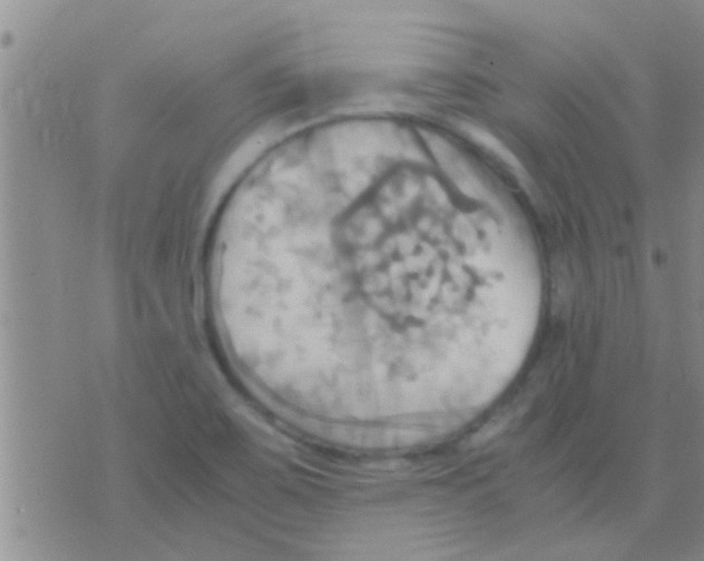 X0000075891467200610151739