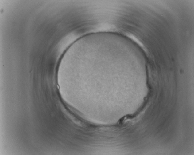 X0000075891469200610151739