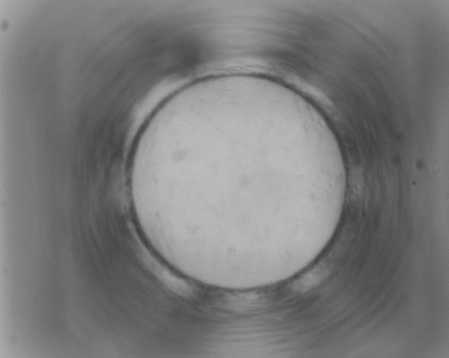 X0000075891470200610151739