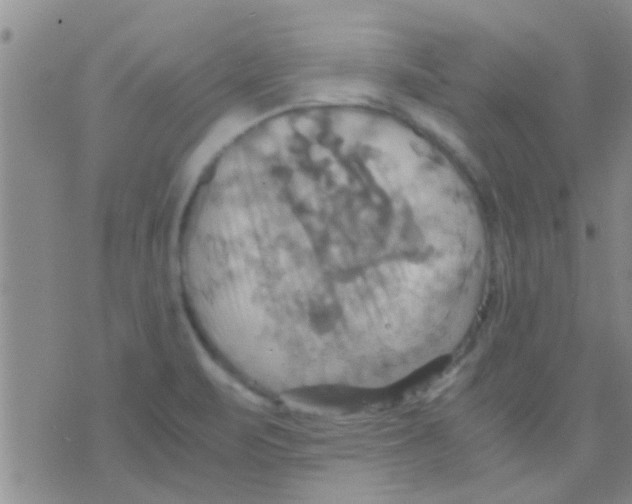 X0000075891471200610151739