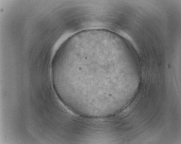 X0000075891472200610151739