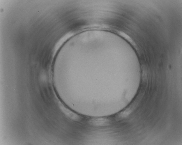 X0000075891474200610151739