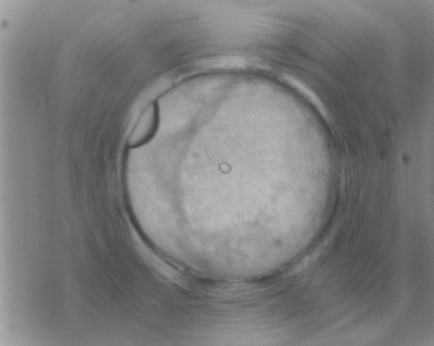 X0000075891475200610151739