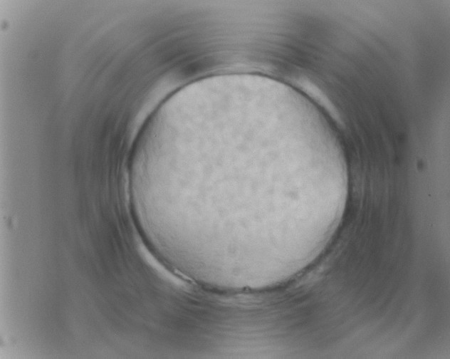 X0000075891476200610151739