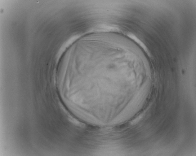 X0000075891477200610151739