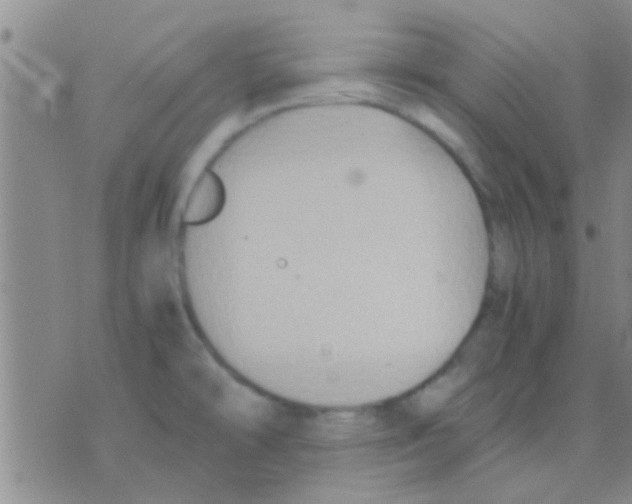 X0000075891478200610151739