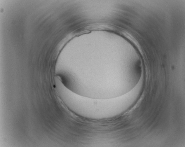 X0000075891481200610151739