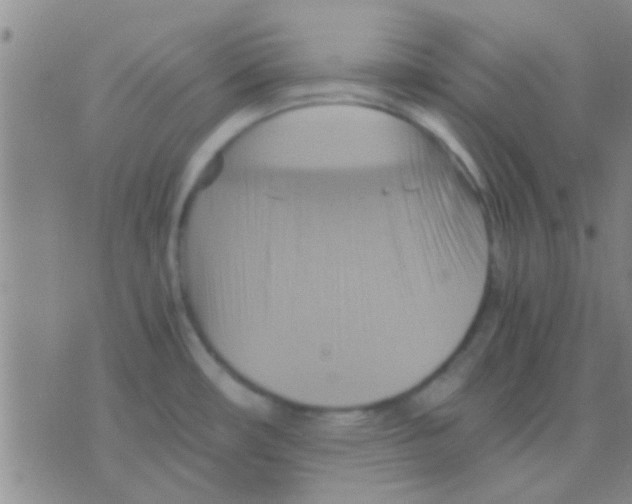 X0000075891482200610151739