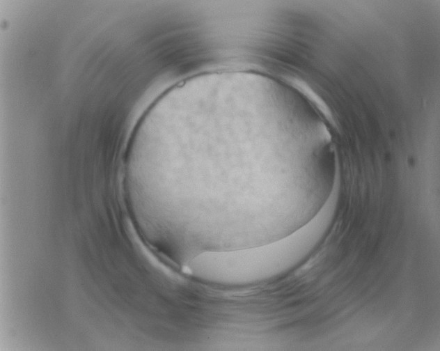 X0000075891484200610151739