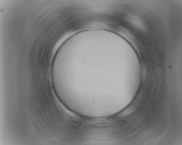 X0000075891486200610151738