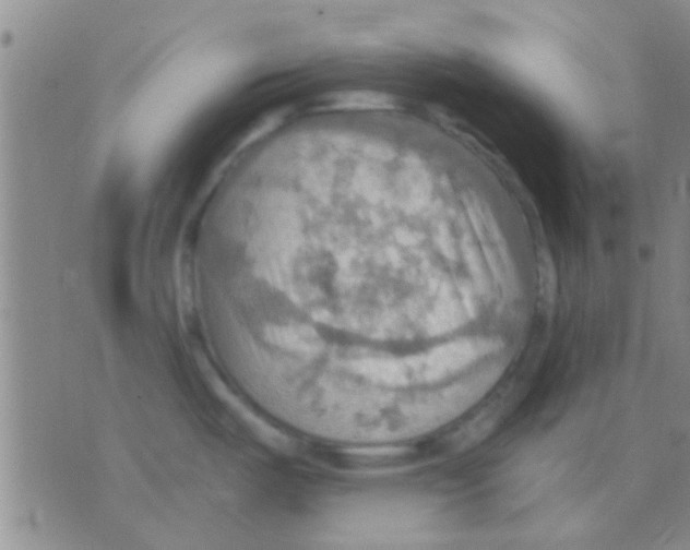 X0000075891487200610151738