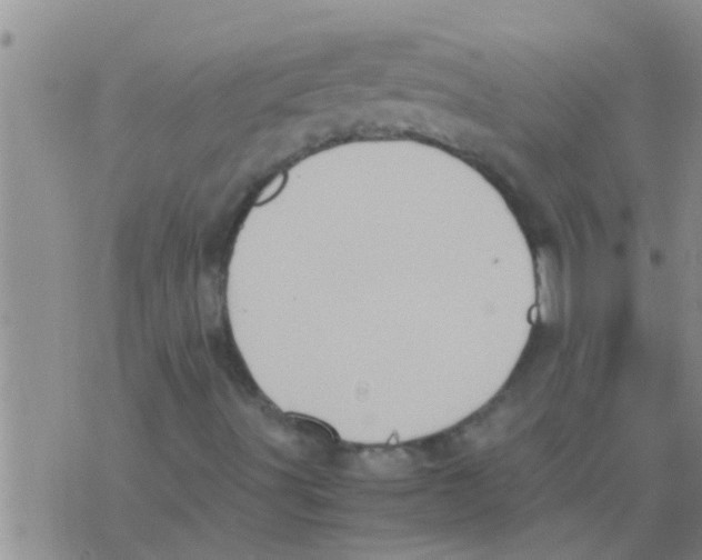 X0000075891491200610151738