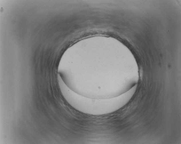 X0000075891492200610151738