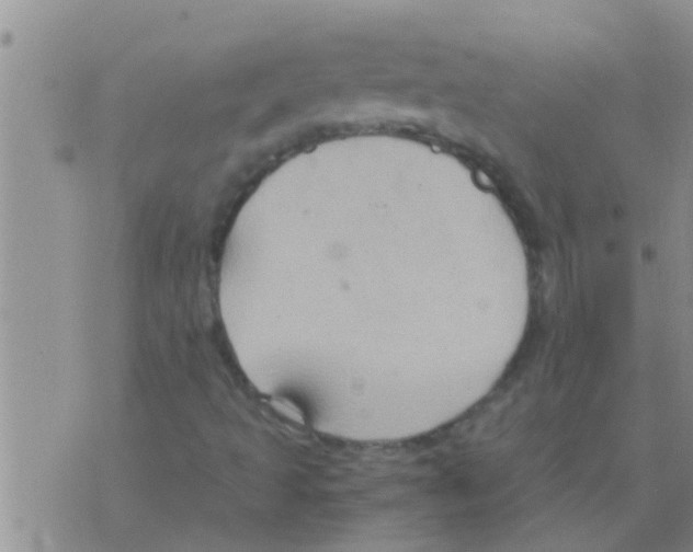 X0000075891493200610151738