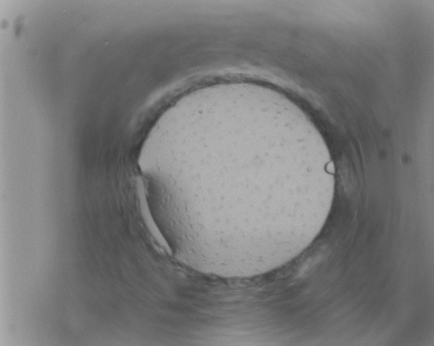 X0000075891494200610151738