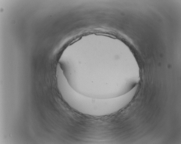 X0000075891496200610151738