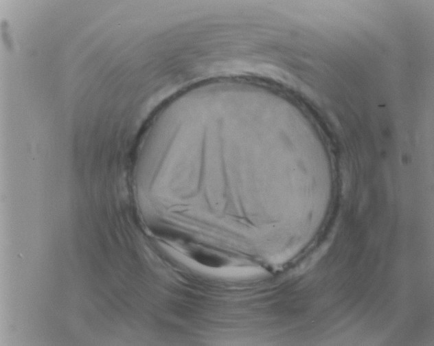 X0000075891497200610151738