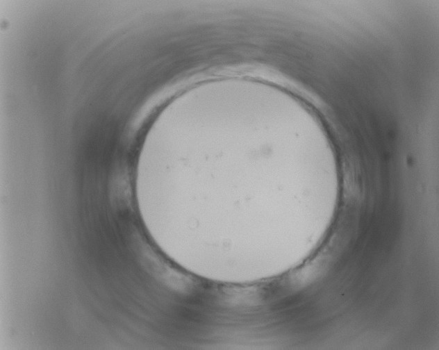 X0000075891498200610151738