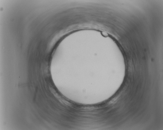 X0000075891499200610151738