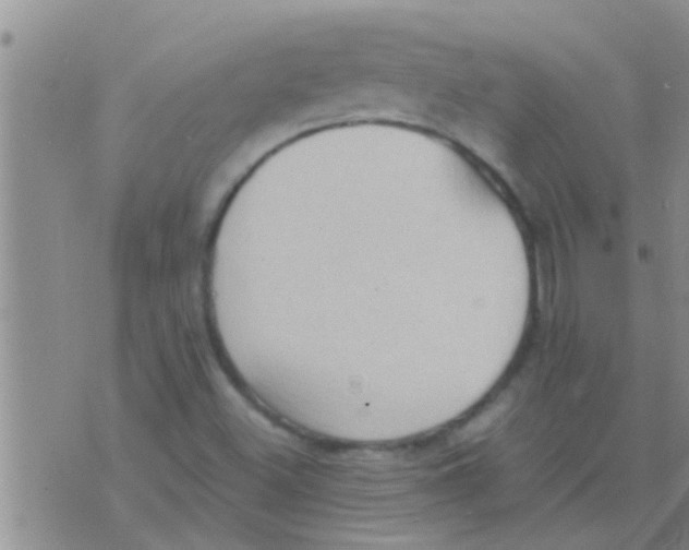 X0000075891500200610151738