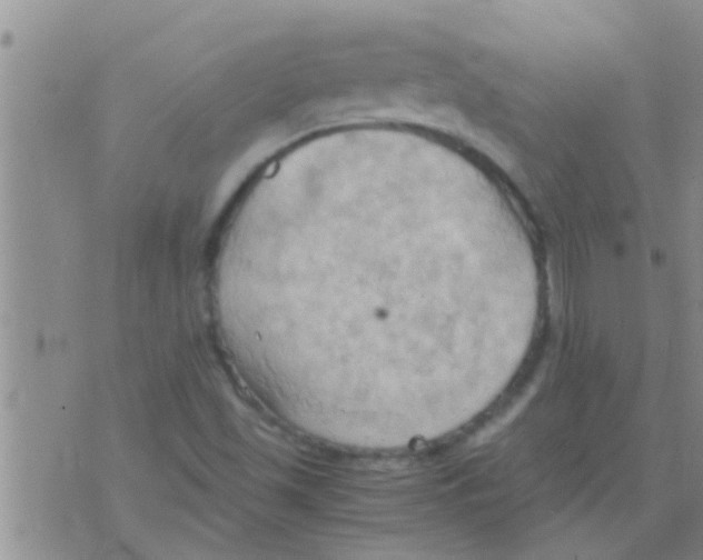 X0000075891501200610151738