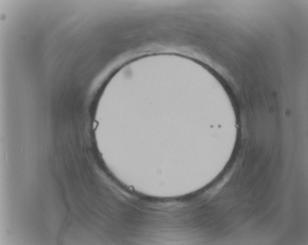 X0000075891502200610151738