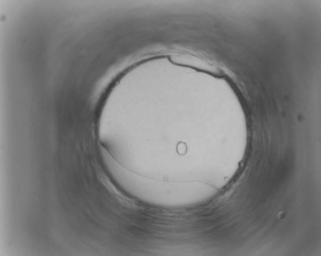 X0000075891503200610151738