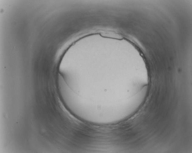 X0000075891504200610151738